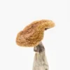 Golden Teachers Mushroom